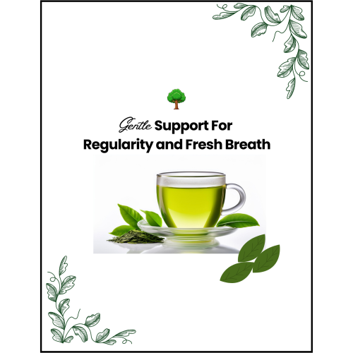 A wellness guide shairing 6 simple daily habits for regularity and fresh breath